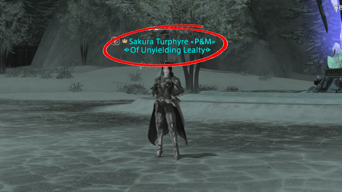 FFXIV Tank mounts & titles How to get them all