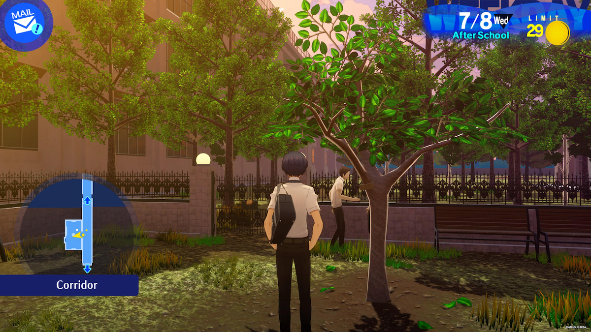Persona 3 Persimmon Tree