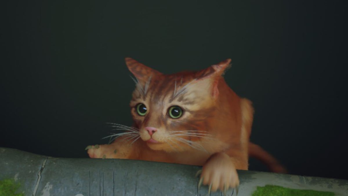 #BlueTwelve on crafting its feline platformer and real-life rescue inspirations #BlueTwelve on crafting its feline platformer and real-life rescue inspirations