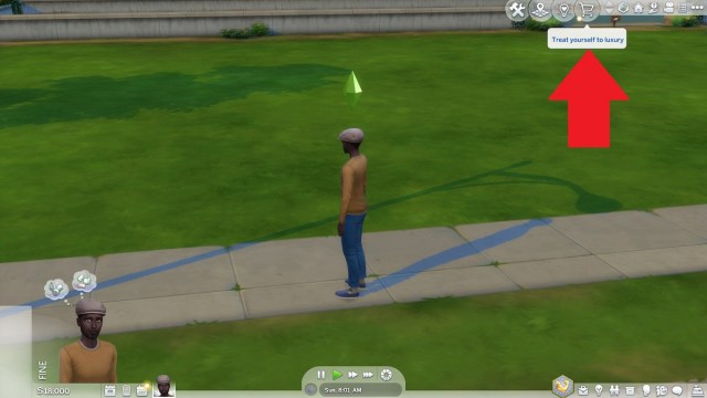 New Sims 4 HUD