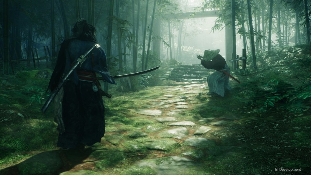 A Rise of the Ronin co-op mode is happening.