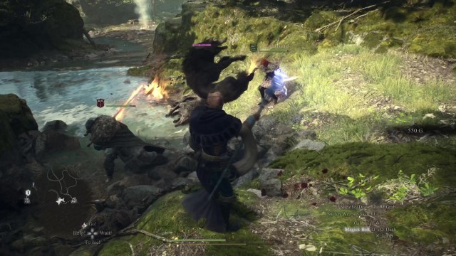 Dragon's Dogma 2 Party fight