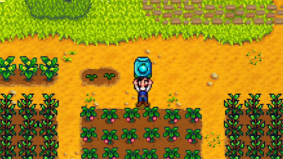 A packet of Ancient Seeds in Stardew Valley