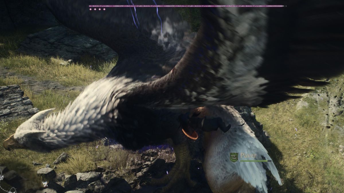 attacking a griffin with a pawn in dragons dogma 2