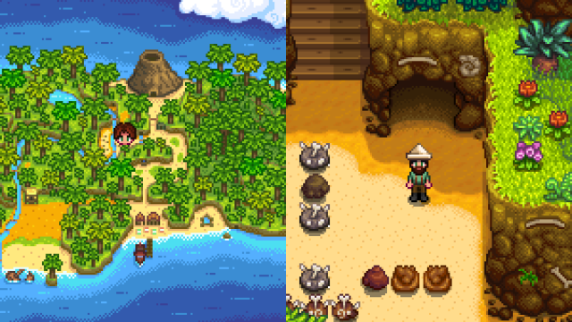 The location where you can find Fizz in Stardew Valley
