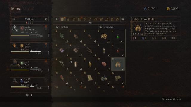 Golden Trove Beetle in Dragon's Dogma 2