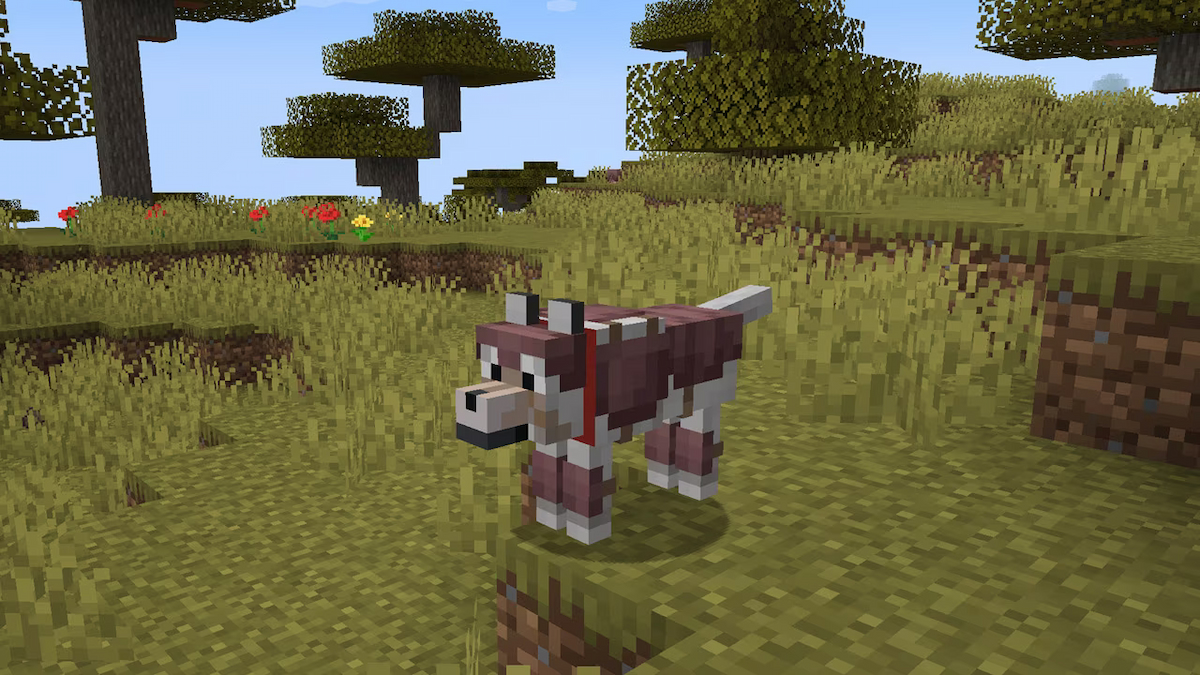 Wolf armor in Minecraft