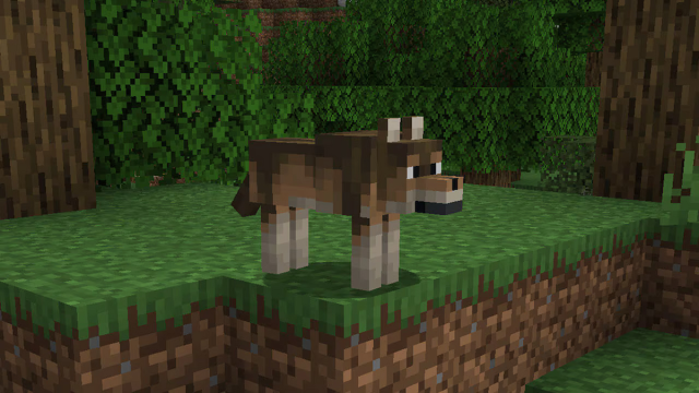 Woods Wolf in Minecraft
