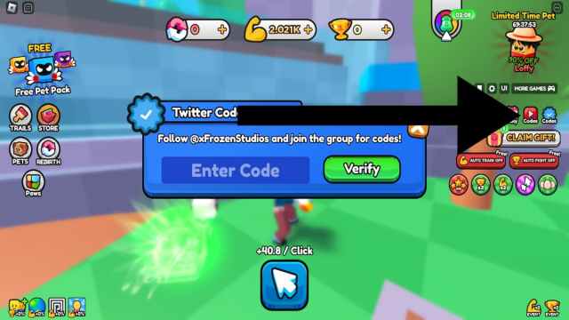 How to redeem codes in Catching Simulator. 