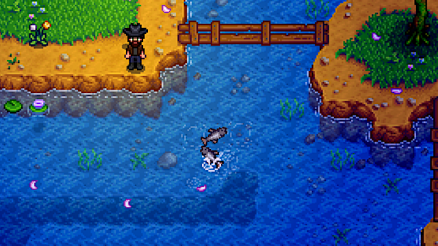 A Fish Frenzy in Stardew Valley