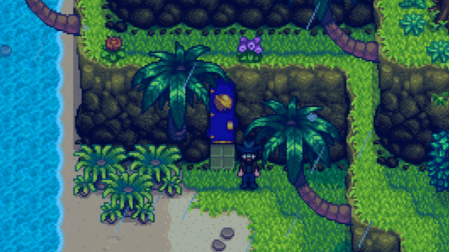 The entrance to Qi's Walnut Room in Stardew Valley