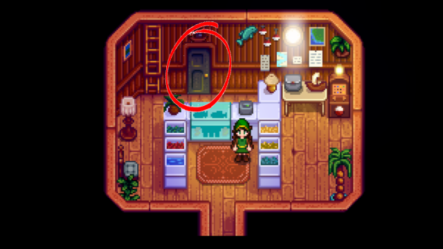 The door you need to enter through Willy's Fish Shop in Stardew Valley