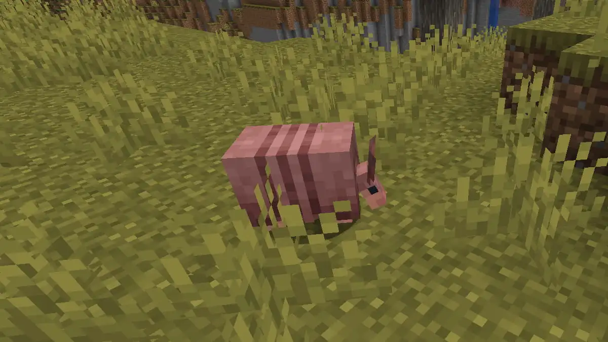 How to find and breed Armadillos in Minecraft