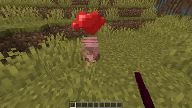 Minecraft breed armadillo