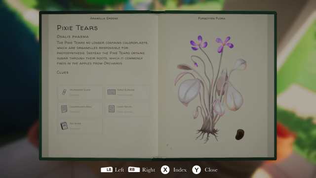 Full profile of Pixie Tears in Botany Manor 