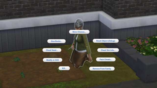 The Sims 4 age up cheats