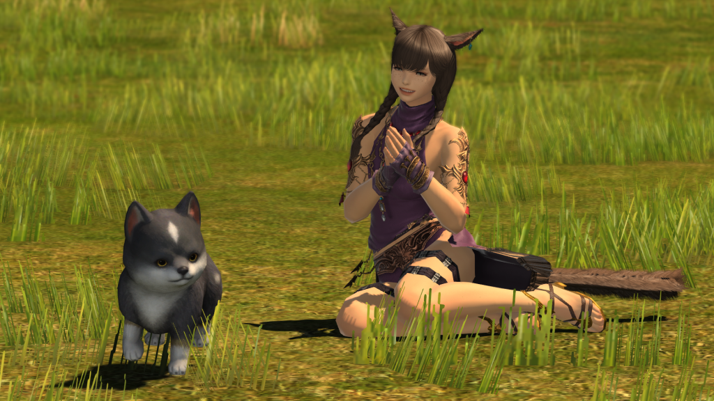 The Torgal minion in FFXIV, sitting with a Warrior of Light