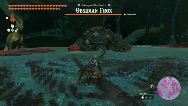 Link from Tears of the Kingdom faces a stunned Obsidian Frox