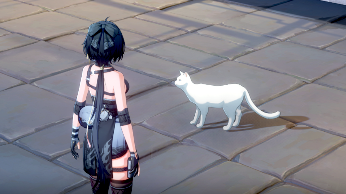 How to get the Kitten First trophy in Wuthering Waves