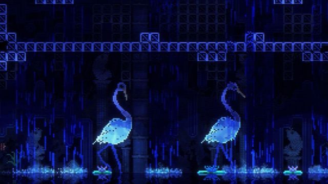 cigüeñas en pozo de animales