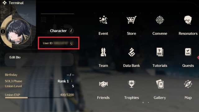 Wuthering Waves user ID