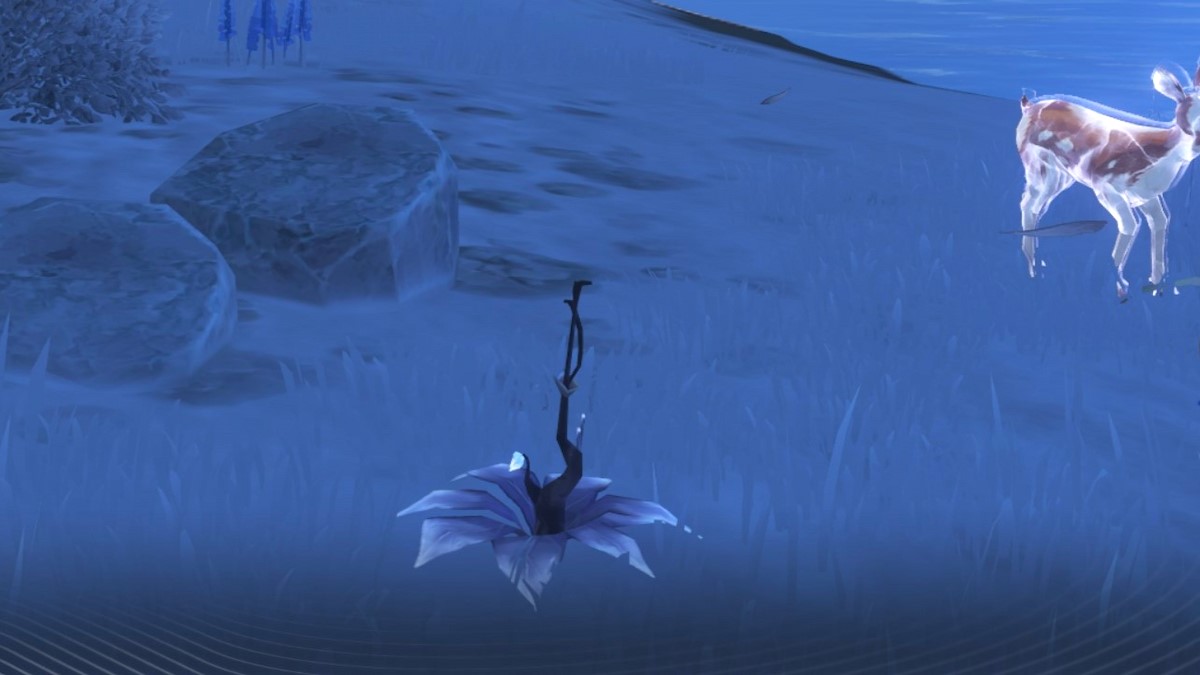 Where to find Loong’s Pearls in Wuthering Waves