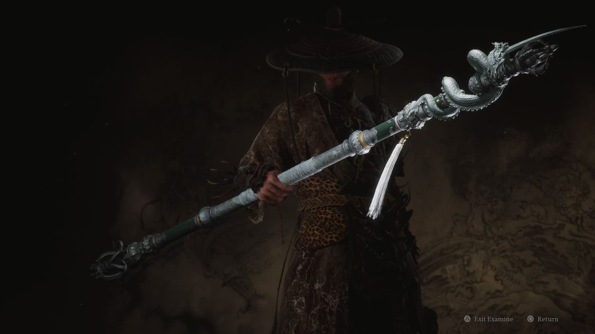 How does Punishing Downpour work in Black Myth Wukong?