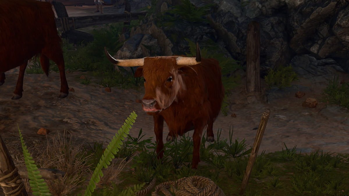 #What does the Unusual ox do in Baldur’s Gate 3? – Destructoid #What does the Unusual ox do in Baldur’s Gate 3? – Destructoid
