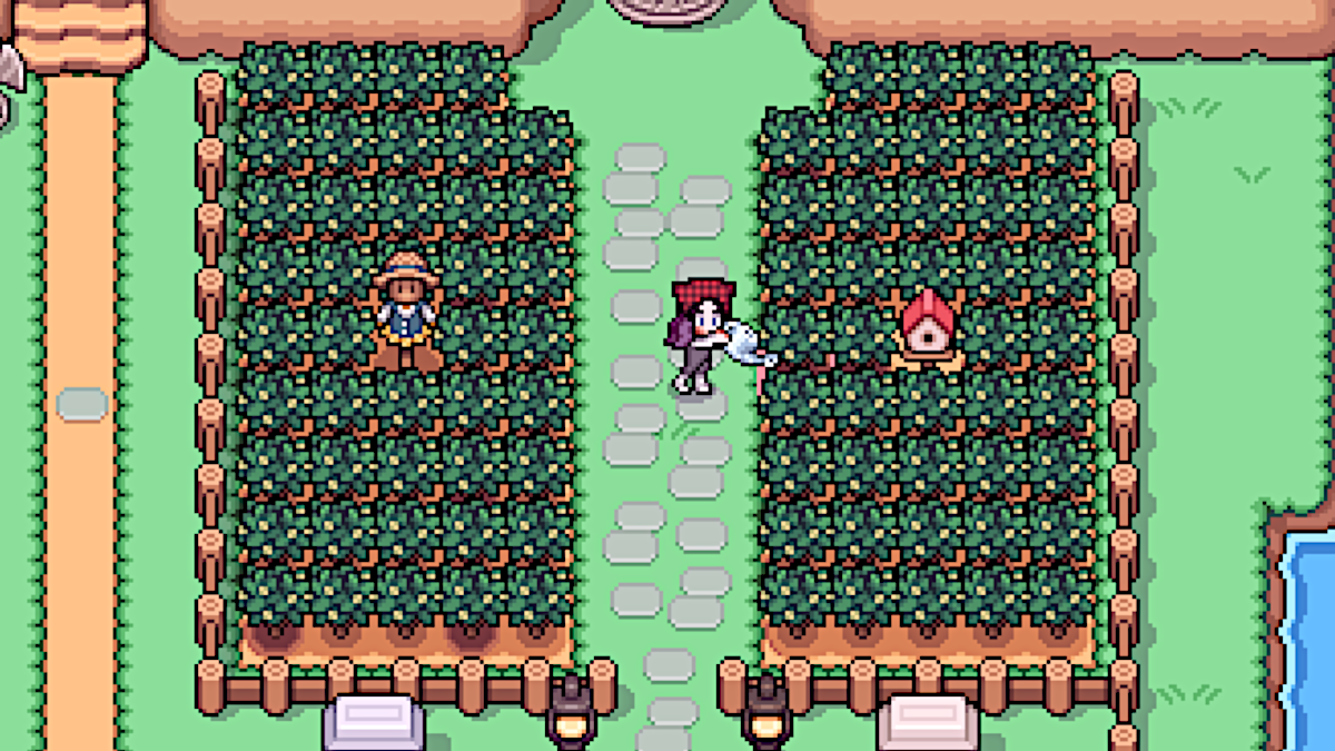 How to get Tea in Fields of Mistria