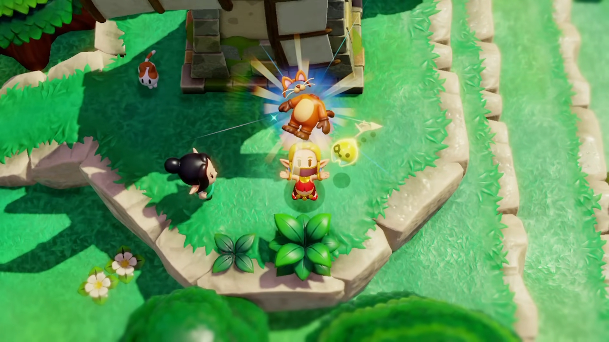 # full Questioning the Native Cats quest in Zelda Echoes of Knowledge – Destructoid # full Questioning the Native Cats quest in Zelda Echoes of Knowledge – Destructoid