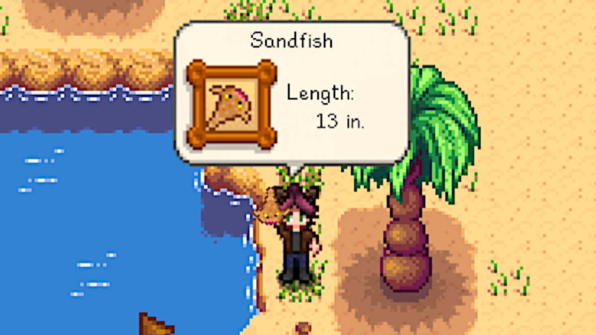 How to catch a Sandfish in Stardew Valley – Destructoid
