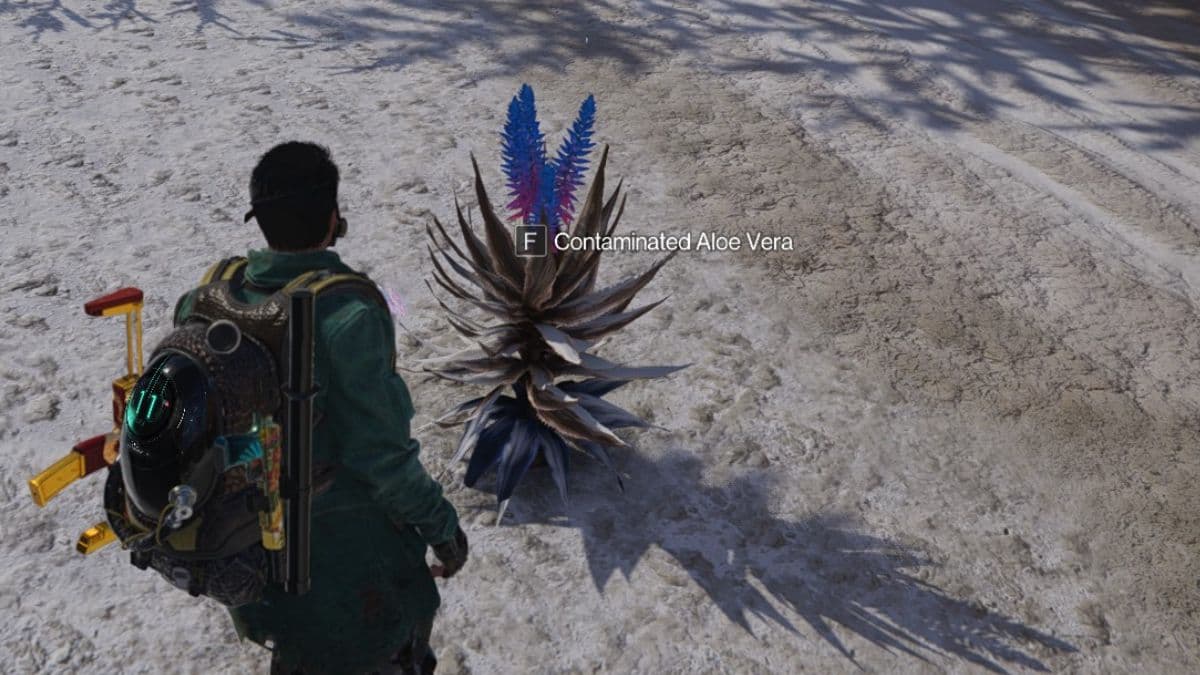 Contaminated Aloe Vera in Once Human, used for Acid production.