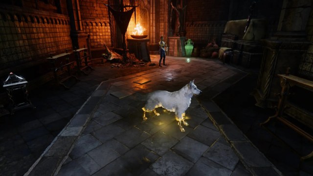 the best mods accompanying Baldur's Gate 3