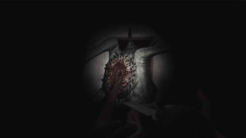 SCP 5k