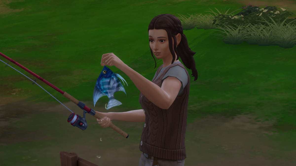 Angelfisch Sims How to find and catch Angelfish in The Sims 4 – Destructoid