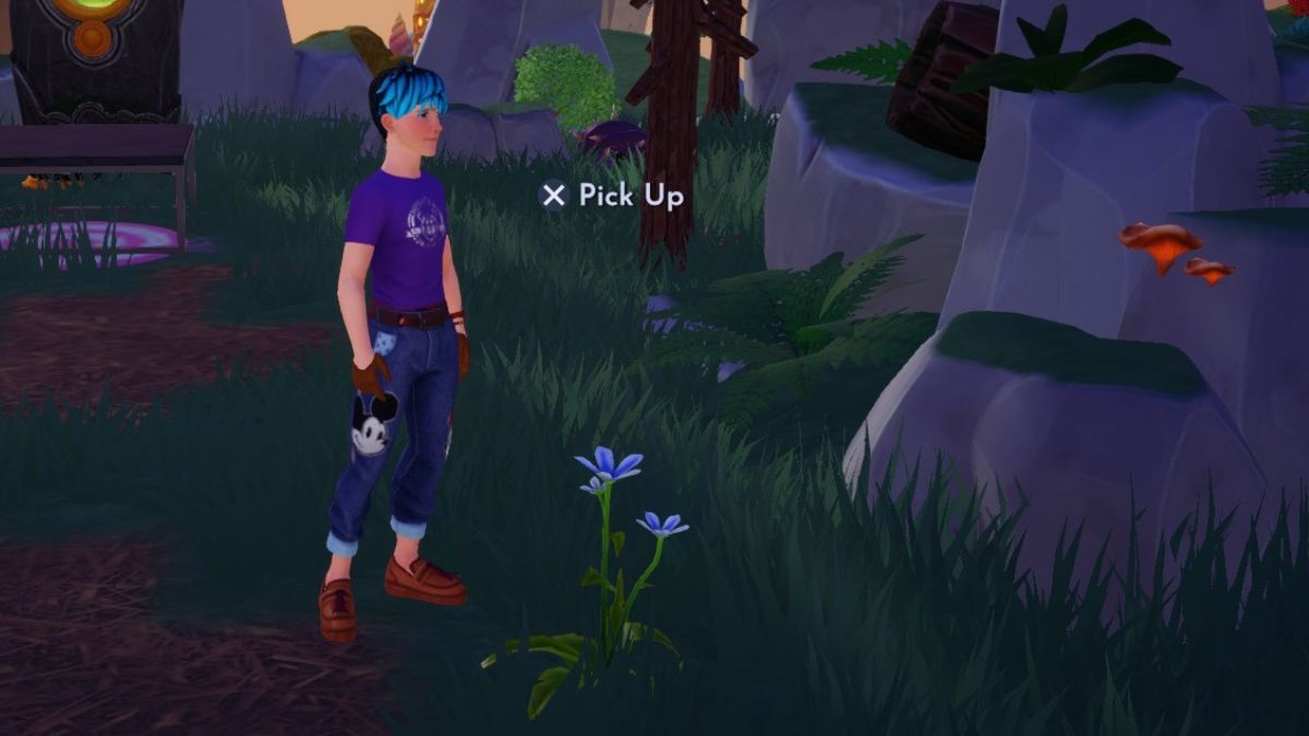 #The place to search out Blue Star Lily in Disney Dreamlight Valley #The place to search out Blue Star Lily in Disney Dreamlight Valley