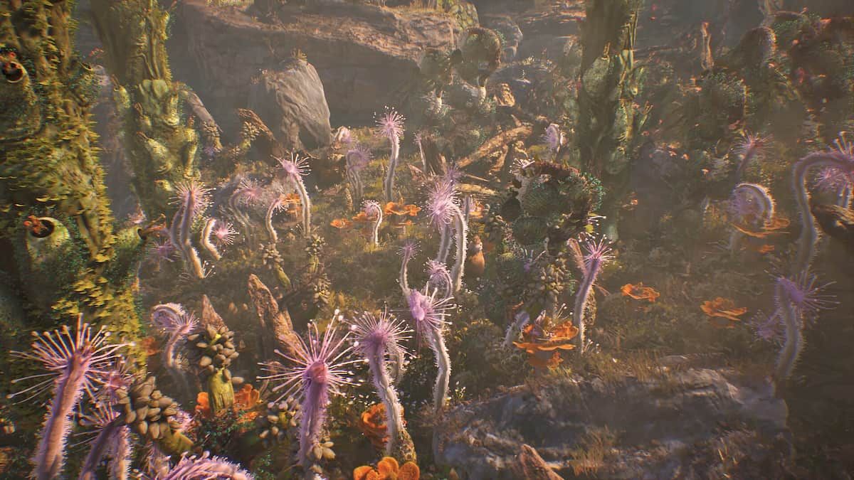 How to plant seeds from other ecosystems | Towers of Aghasba