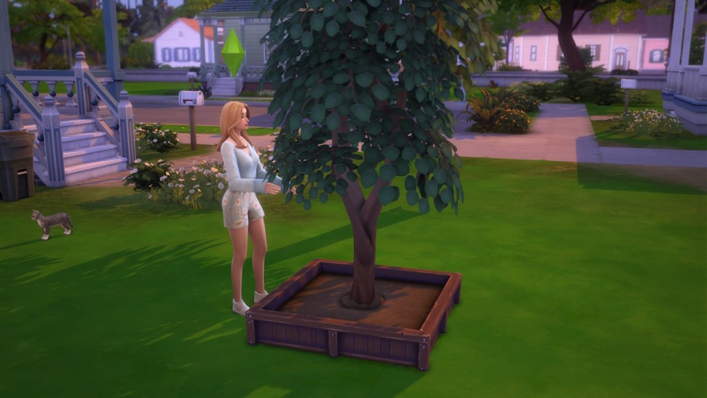 How to get a Pomegranate in The Sims 4 – Destructoid