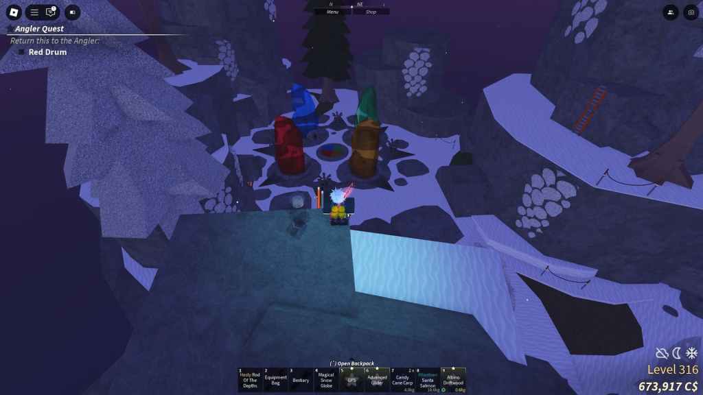 Puzzle in the Northern Expedition in Fisch