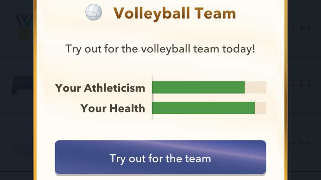 BitLife volleyball team