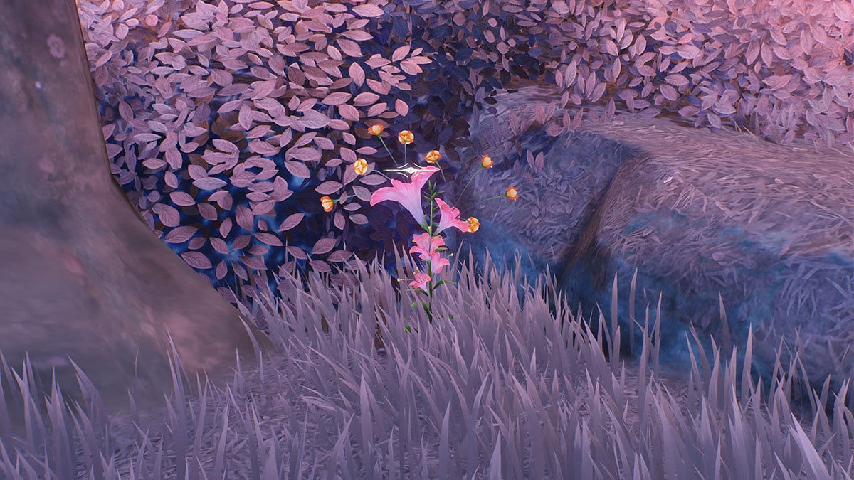 All Firecracker Jewelweed locations in Wuthering Waves: Where to find and farm Phoebe and Roccia’s ascension material