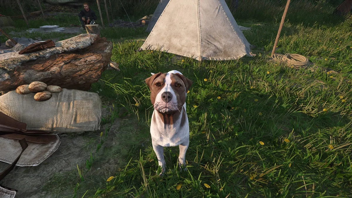 #How you can discover Mutt in Kingdom Come: Deliverance 2 – Destructoid #How you can discover Mutt in Kingdom Come: Deliverance 2 – Destructoid