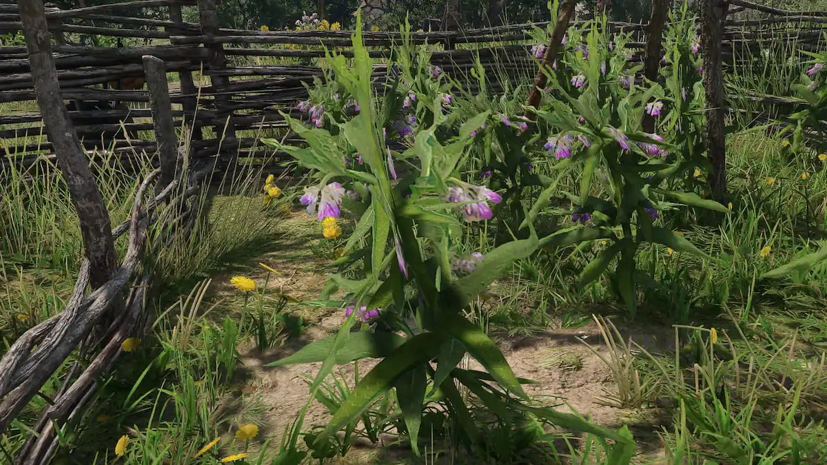 #The place to seek out Comfrey in Kingdom Come Deliverance 2 – Destructoid #The place to seek out Comfrey in Kingdom Come Deliverance 2 – Destructoid
