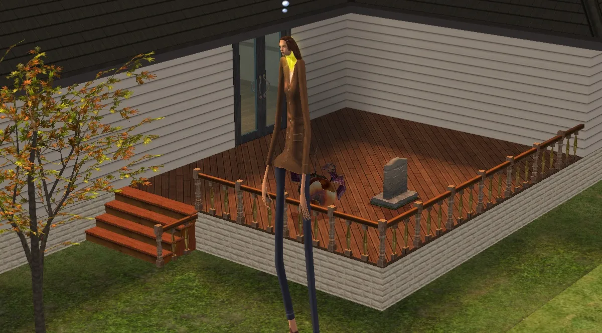 All Sims 2 cheats and console commands – Destructoid