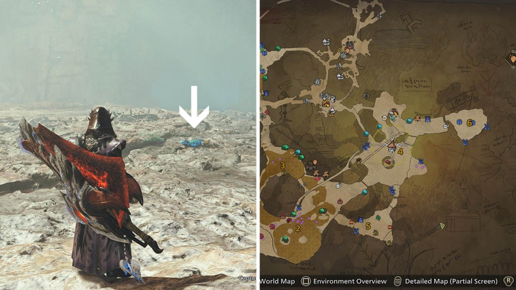 The area where we managed to find a Azure Rufflizard. 