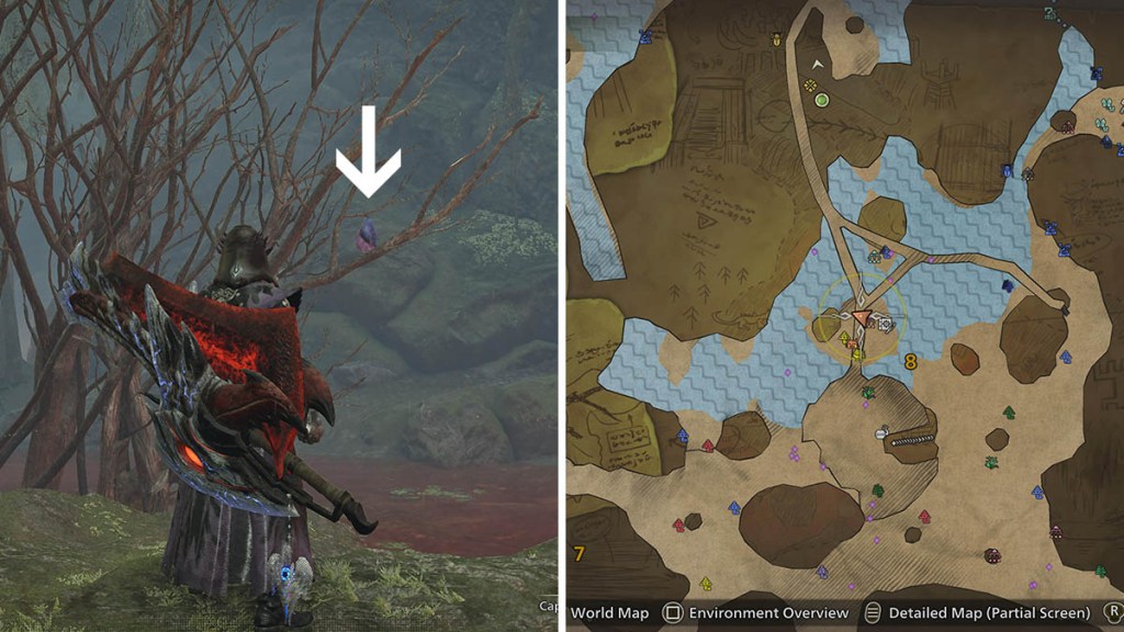 The area where we managed to find a Hymstrigian in Monster Hunter Wilds..