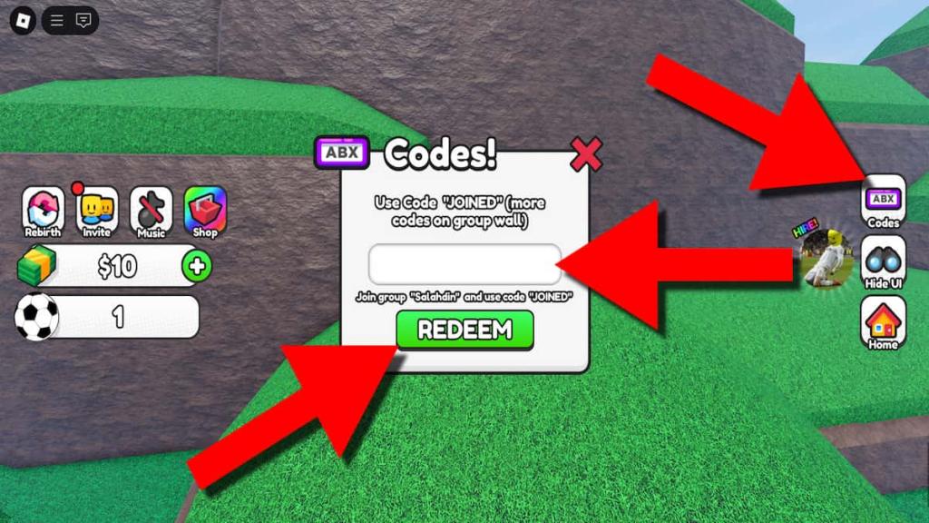 How to redeem Own a Soccer Team and Prove Mom Wrong codes