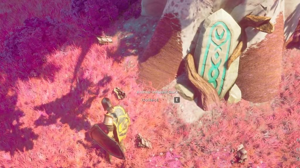 an image of Anima-Infused Bark in RuneScape Dragonwilds