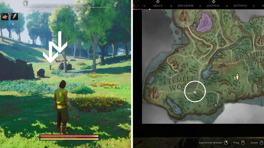 The location of a deer in RuneScape: Dragonwilds.