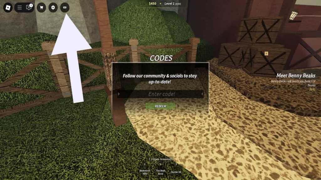 How to redeem Beaks codes.